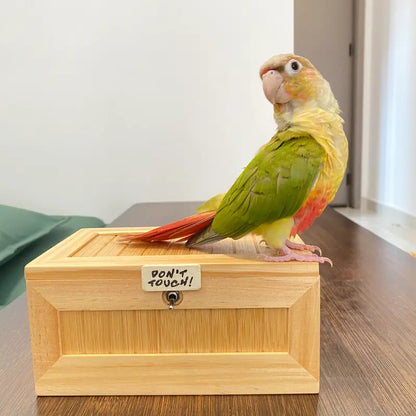 Useless Box Don't Touch Funny Interactive Gadget - Novelty Prank Desk Toy for Stress Relief